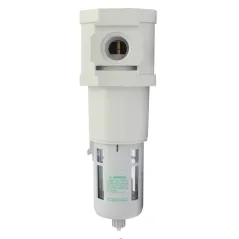 CKD F8000-25G Filtr 1' 5um woda