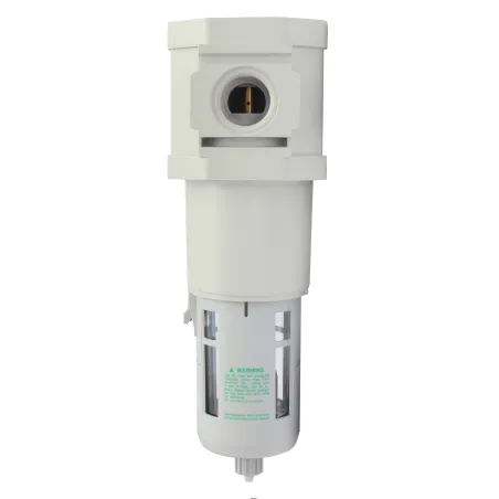 CKD F8000-25G Filtr 1' 5um woda