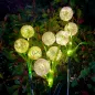 Ogrodowe ozdobne lampki solarne Rebel- czosnek ozdobny