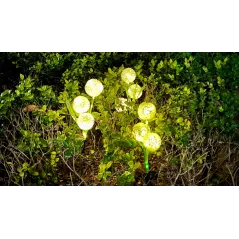 Ogrodowe ozdobne lampki solarne Rebel- czosnek ozdobny