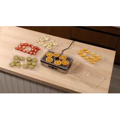 Suszarka do grzybów i owoców 400W 5 sit TEESA termoobieg