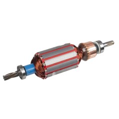 Rotor silnika Cedrus wertykulator CEDWE38