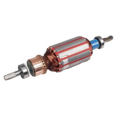 Rotor silnika Cedrus wertykulator CEDWE38