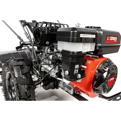 Glebogryzarka Cedrus Premium GLX650 – solidny wybór