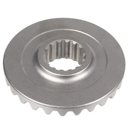 Koło zębate przekładni Cedrus szczotka CEDRTJ16