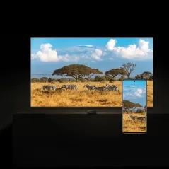 Odtwarzacz 4K XIAOMI MI Box S – trwałość i wydajność | instalpv.pl