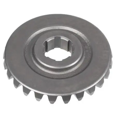 Koło zębate CEDRUS glebogryzarka CEDRUSGLX640