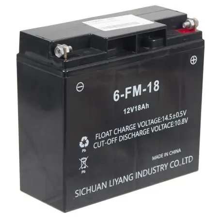 Akumulator Loncin LCD186F 1WG7.5-146FC-Z CZĘŚĆ ORYGINALNA