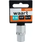 Nasadka Torx 1/2", E14