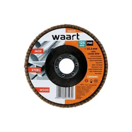 Ściernica listkowa 125 x 22.2 mm, P40, Ceramiczna, T29