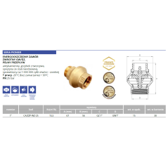 Zawór zwrotny seria Pionier 1" W/Z