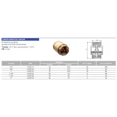 Zawór zwrotny seria Calido 3/4" W/W