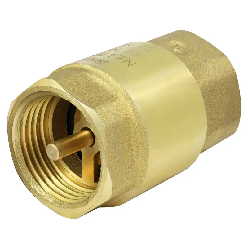 Zawór zwrotny 1" EUROBLOCK