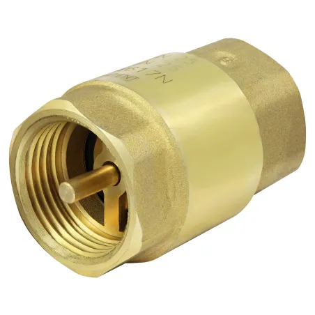 Zawór zwrotny 1" EUROBLOCK