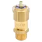 Zawór bezpieczeństwa 1 bar 1/4"