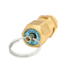 Zawór bezpieczeństwa 2 bar 1/4"