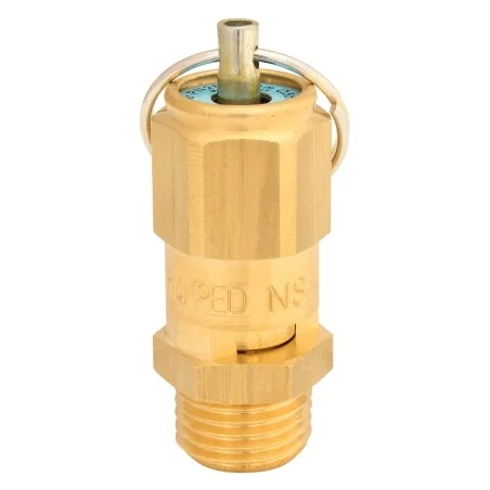 Zawór bezpieczeństwa 2 bar 1/4"