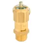Zawór bezpieczeństwa 2 bar 1/4"