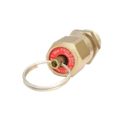 Zawór bezpieczeństwa 8 bar 1/4"