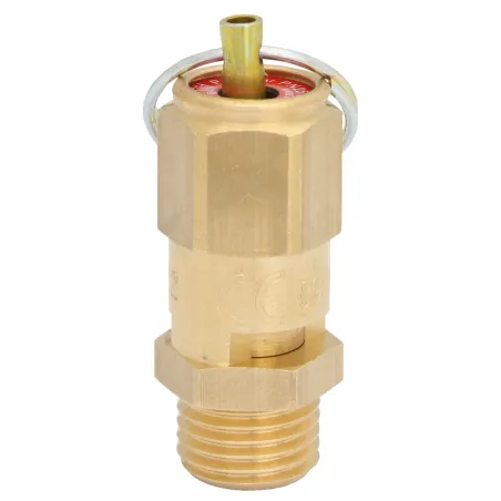 Zawór bezpieczeństwa 8 bar 1/4"