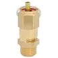 Zawór bezpieczeństwa 8 bar 1/4"