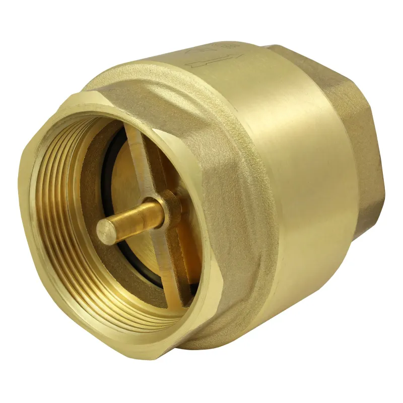 Zawór zwrotny 2" EUROBLOCK