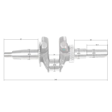Wał korbowy Cedrus wertykulator CEDWR02R