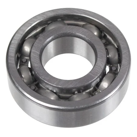 Łożysko 6203 Cedrus glebogryzarka GLX540