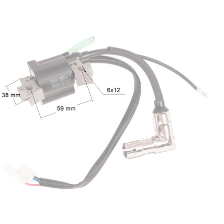 Moduł zapłonowy Cedrus CEDIN1200R