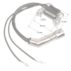 Moduł zapłonowy Cedrus wertykulator WR01