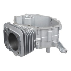 Cylinder Cedrus silnik Y196VE