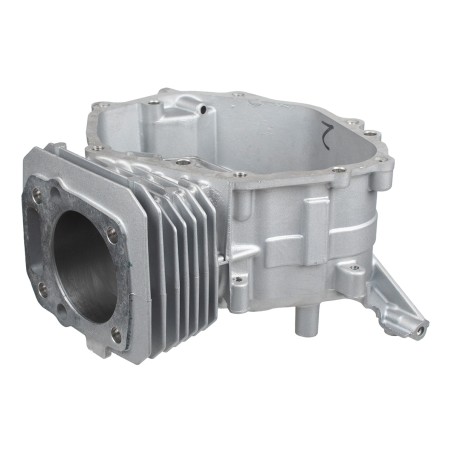 Cylinder Cedrus silnik Y196VE