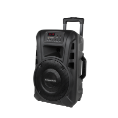 Aktywna kolumna głośnikowa (z 2 mikrofonami bezprzewodowymi UHF, SD, Bluetooth, FM, USB) 20 Watt