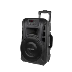 Aktywna kolumna głośnikowa (z 2 mikrofonami bezprzewodowymi UHF, SD, Bluetooth, FM, USB) 20 Watt