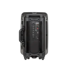 Aktywna kolumna głośnikowa (z 2 mikrofonami bezprzewodowymi UHF, SD, Bluetooth, FM, USB) 20 Watt