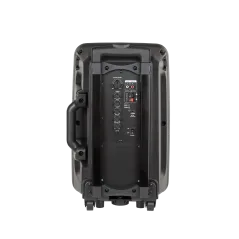 Aktywna kolumna głośnikowa (z 2 mikrofonami bezprzewodowymi UHF, SD, Bluetooth, FM, USB) 20 Watt