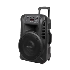 Aktywna kolumna głośnikowa (z 2 mikrofonami bezprzewodowymi UHF, SD, Bluetooth, FM, USB) 40 Watt