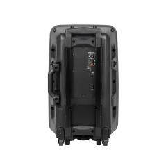 Aktywna kolumna głośnikowa (z 2 mikrofonami bezprzewodowymi UHF, SD, Bluetooth, FM, USB) 40 Watt