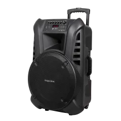 Aktywna kolumna głośnikowa (z 2 mikrofonami bezprzewodowymi UHF, SD, Bluetooth, FM, USB) 60 Watt