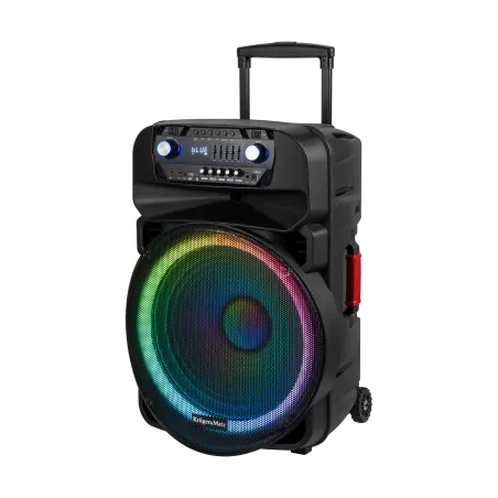 Aktywna kolumna głośnikowa (z 2 mikrofonami bezprzewodowymi UHF, SD, Bluetooth, FM, USB, LED) 60 Watt