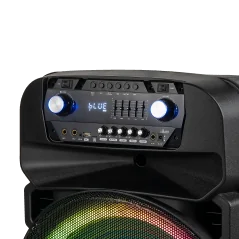 Aktywna kolumna głośnikowa (z 2 mikrofonami bezprzewodowymi UHF, SD, Bluetooth, FM, USB, LED) 60 Watt