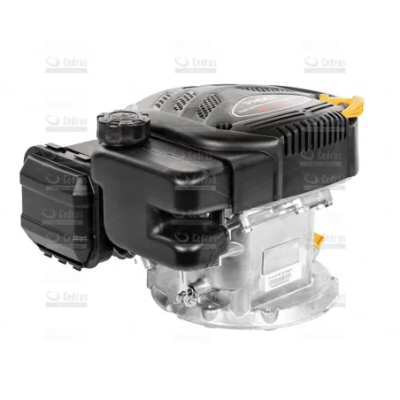 Silnik Loncin LC1P65FE-2 wał pionowy typ B 22,2 mm / 62 mm