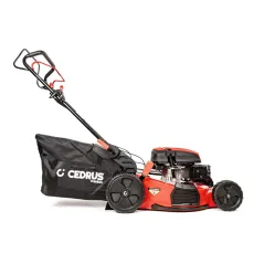 Kosiarka Cedrus Premium z napędem CEDLP53S – solidny wybór