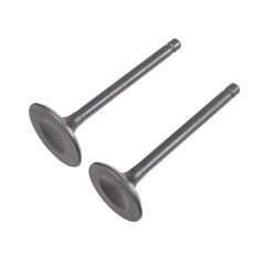 Zawory Rato silnik RV450