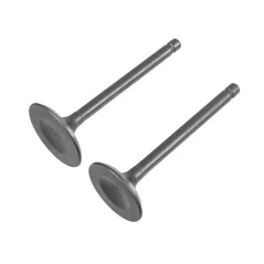 Zawory Rato silnik RV450