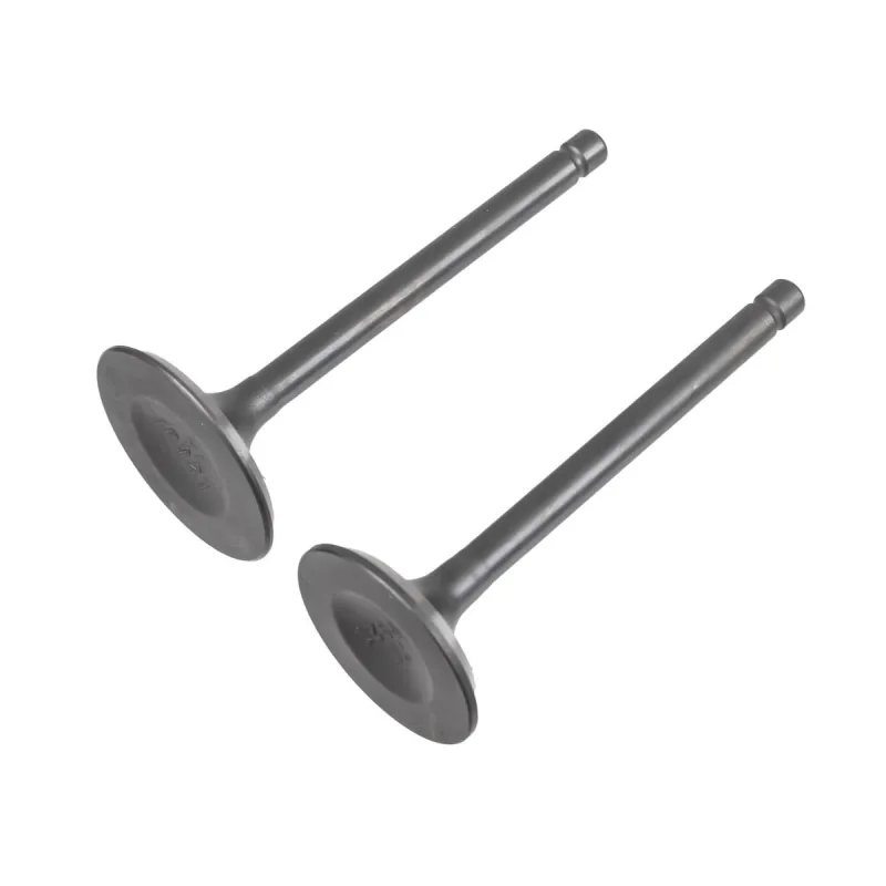 Zawory Rato silnik RV450