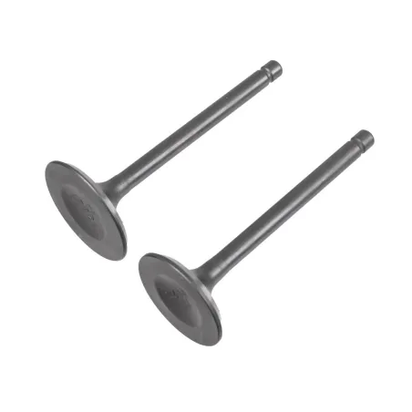 Zawory Rato silnik RV450