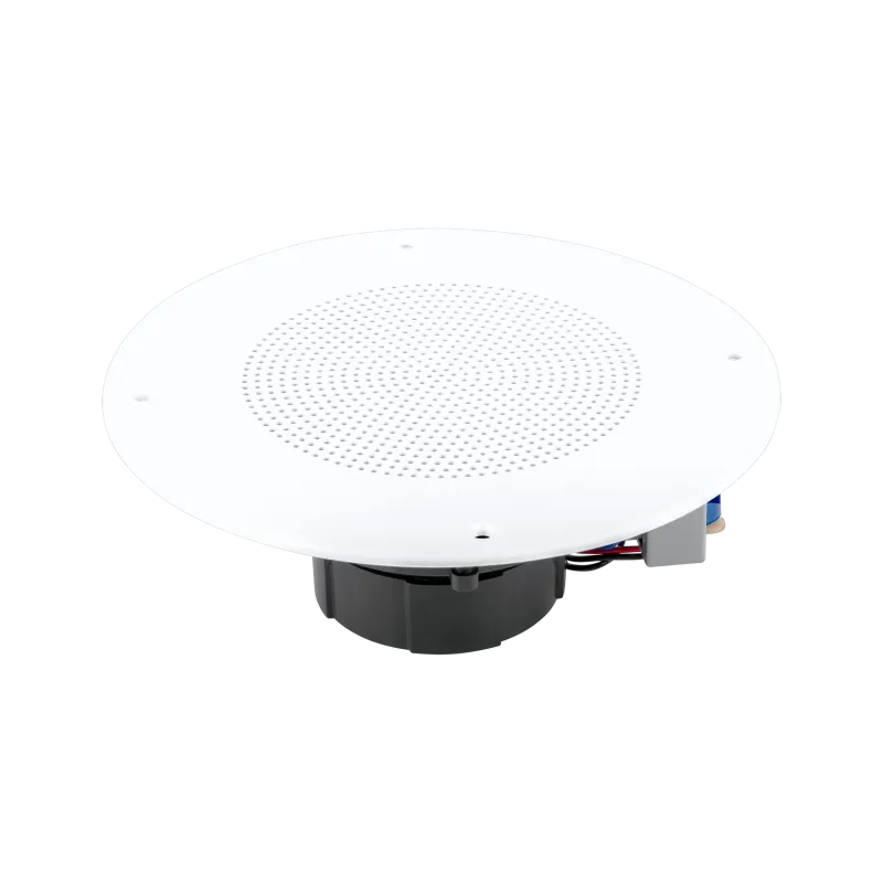 Głośnik sufitowy Głośnik sufitowy