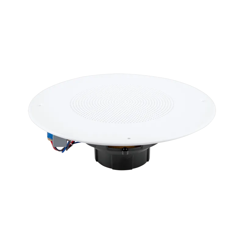 Głosnik sufitowy Głosnik sufitowy