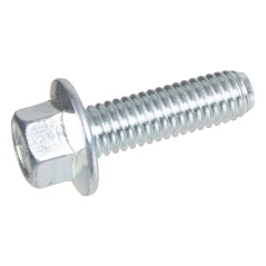 Śruba M6x25 Cedrus traktor jednoosiowy CEDTJ01